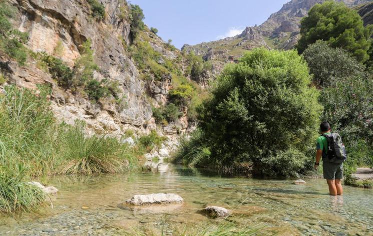 Competa Suites Appartement